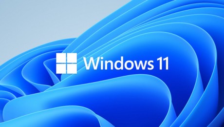 Windows11-23H2.VHDX虚拟磁盘系统镜像